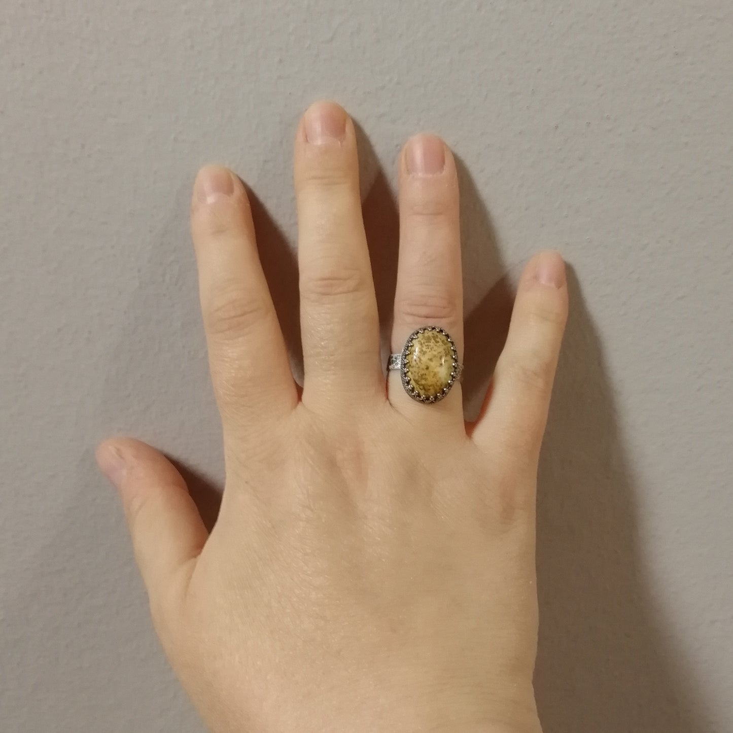 Picture jasper ring - sized O