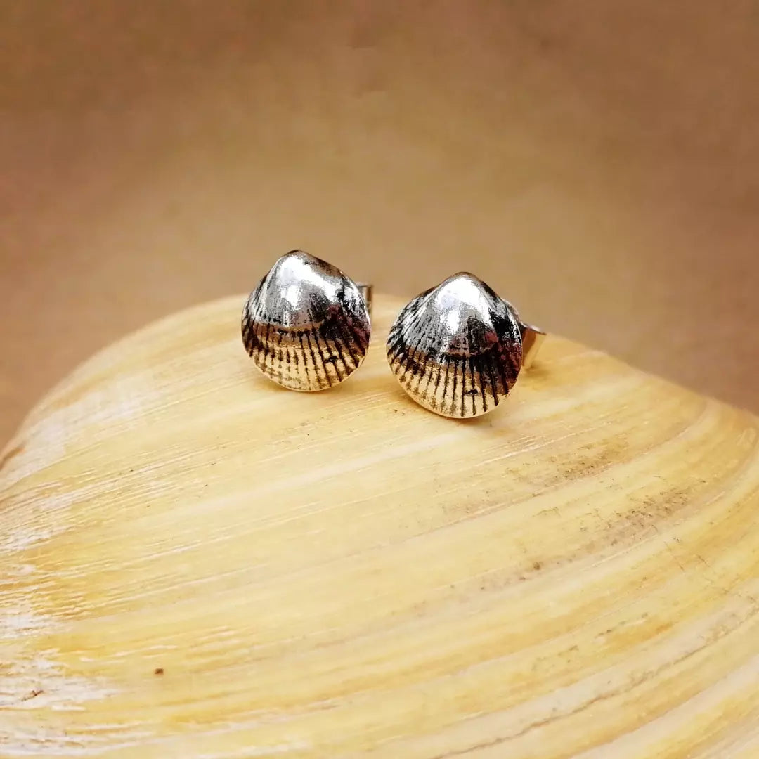 Cockle shell studs made to order