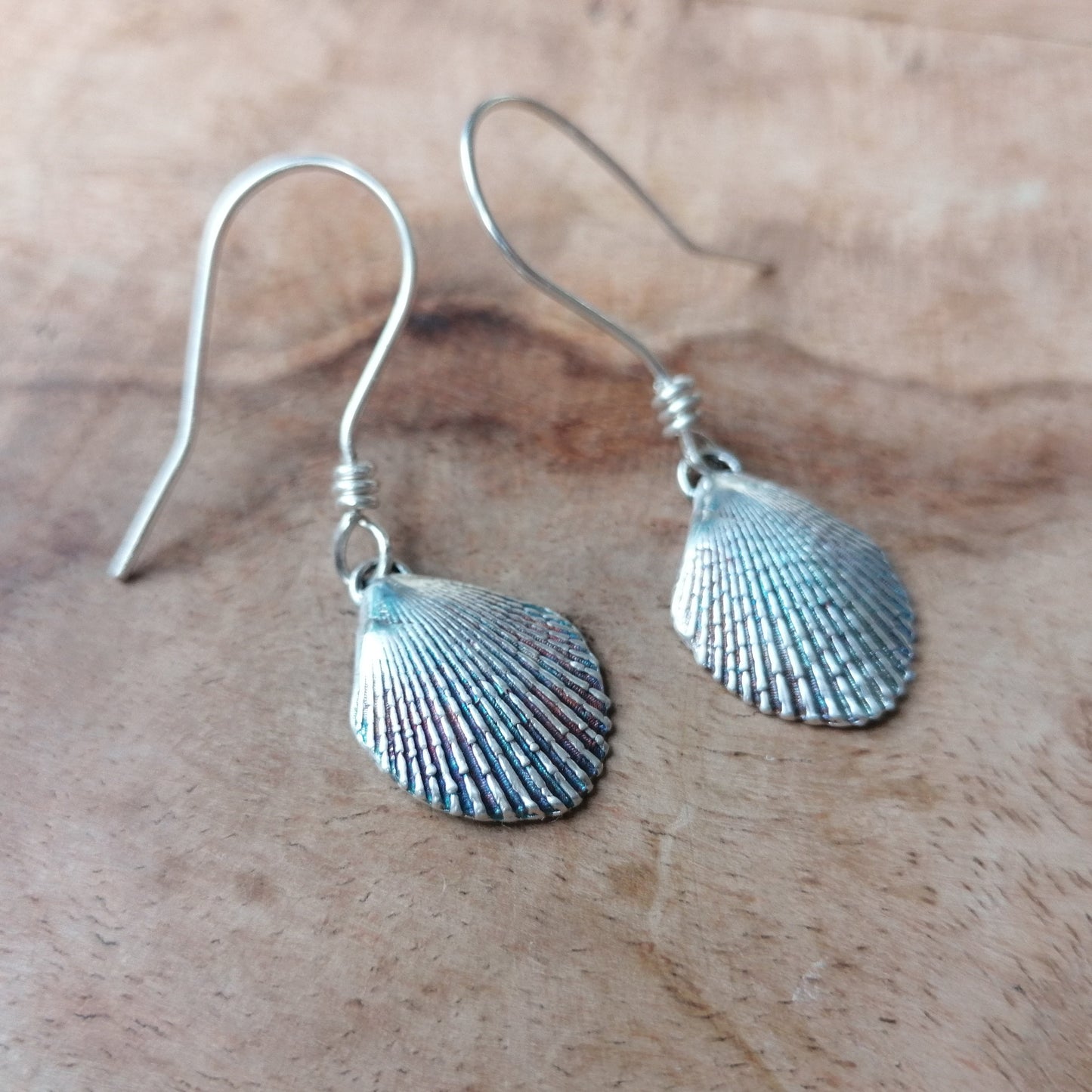 Scallop shell set