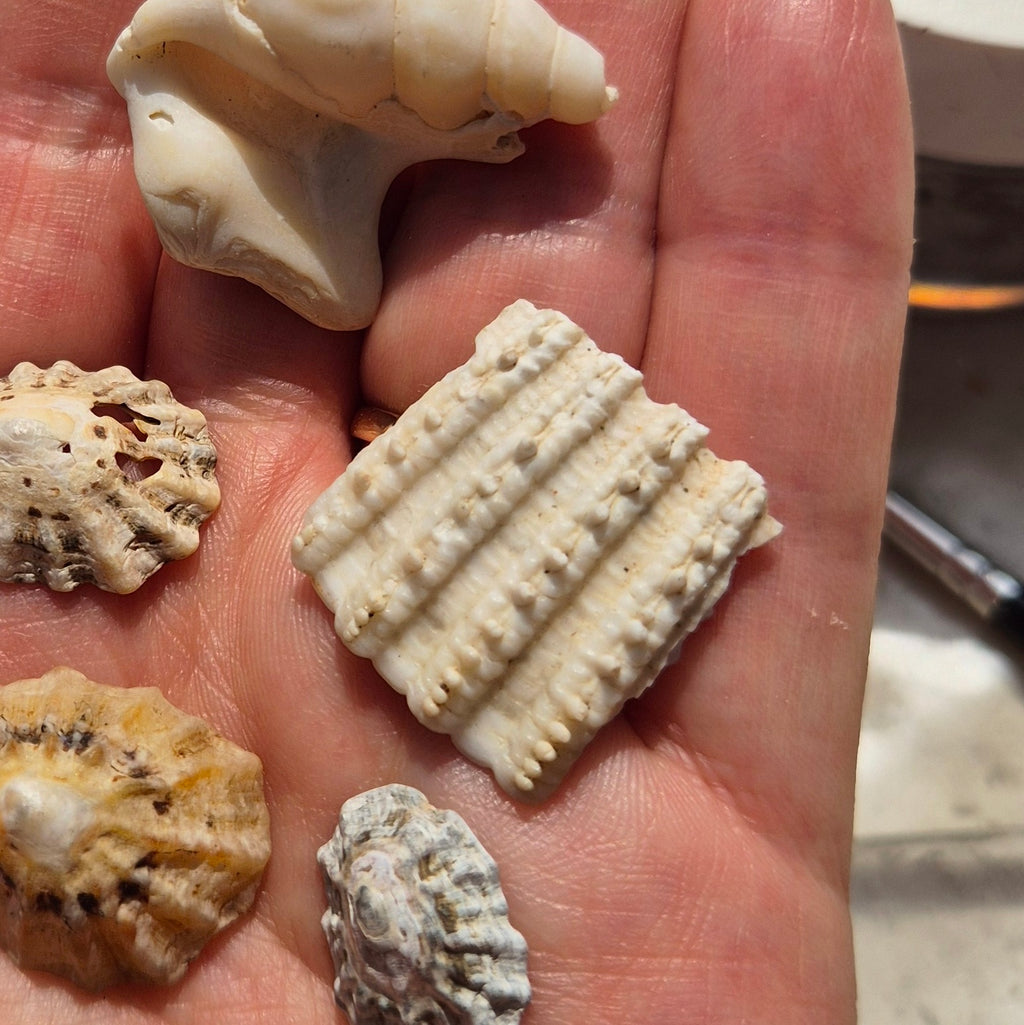 Shell fragment pendant
