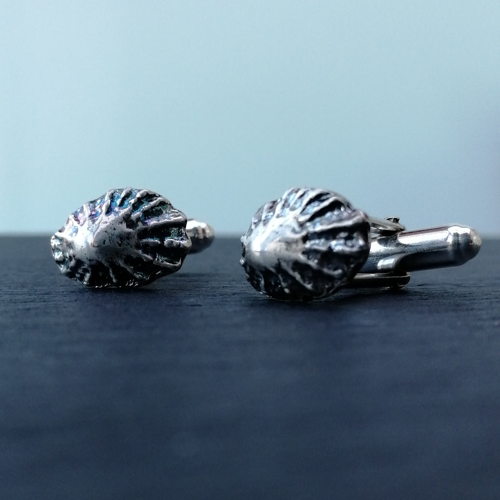 Limpet shell cufflinks