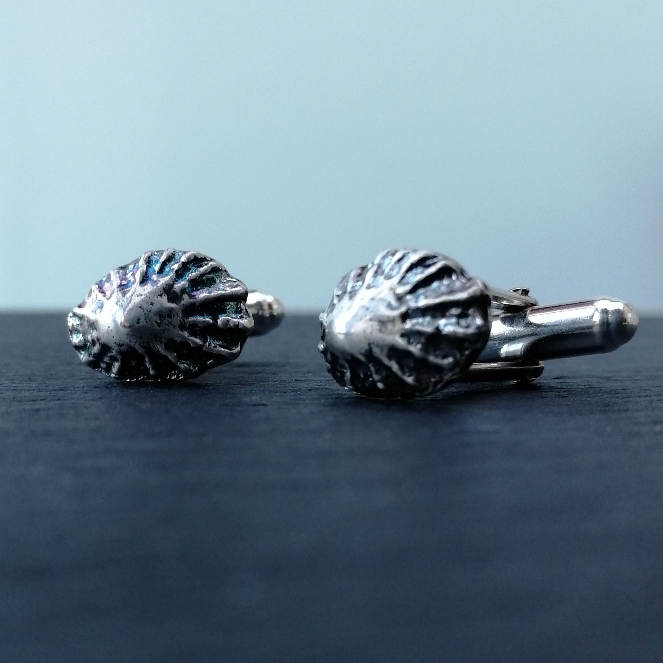 Limpet shell cufflinks