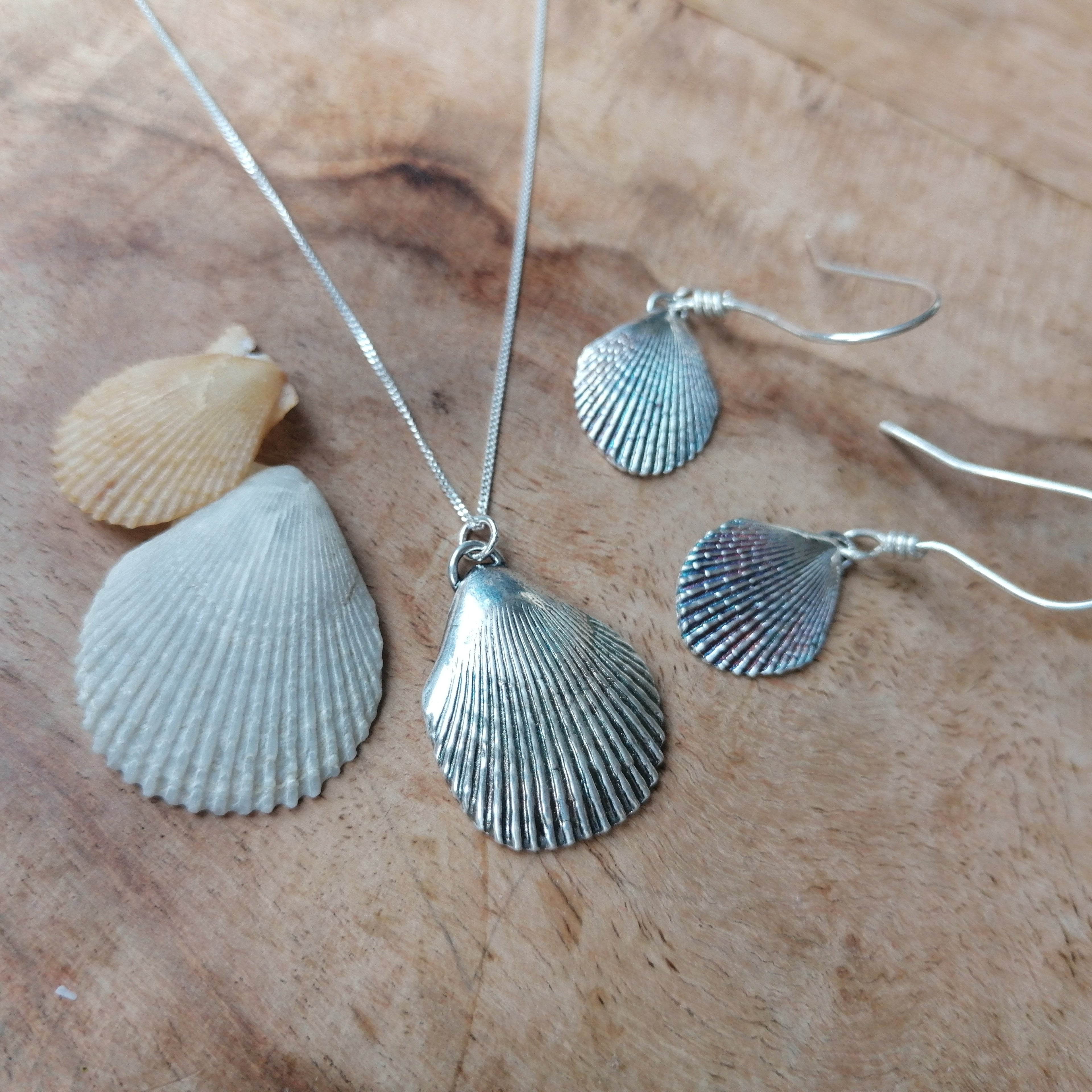 Scallop shell earrings