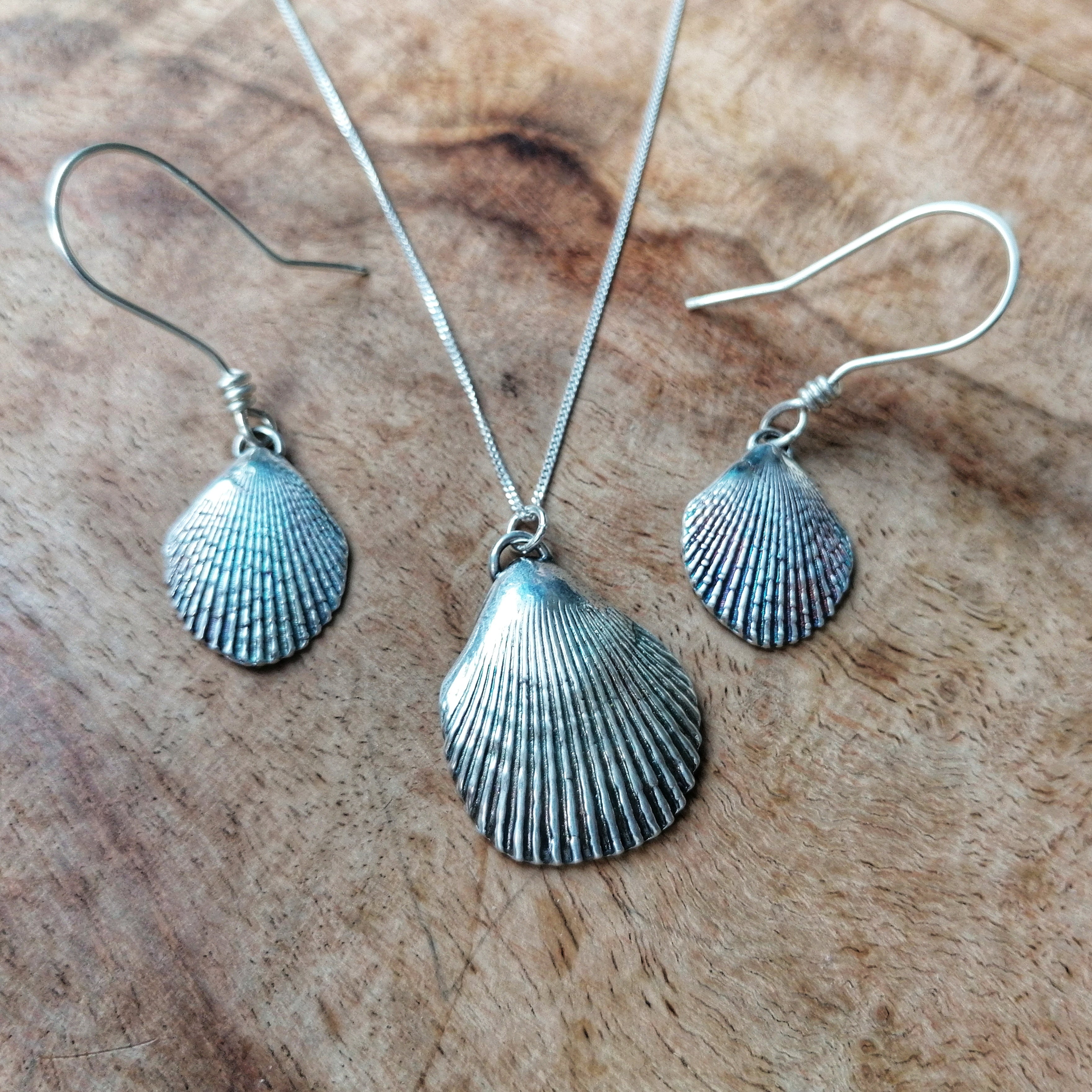 Scallop shell earrings