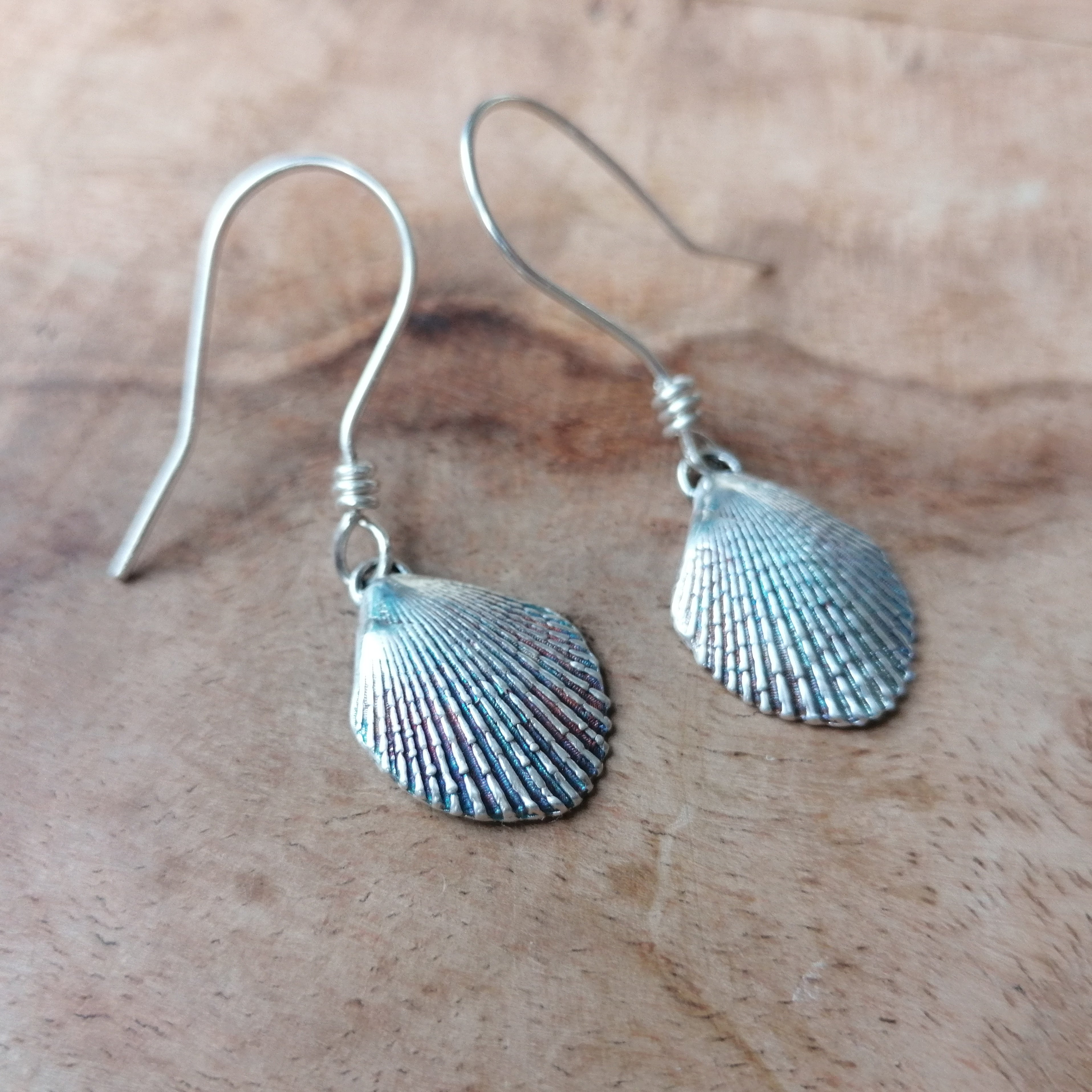 Scallop shell earrings